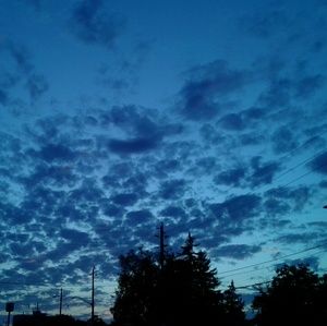 Meet your Posher, Quinn